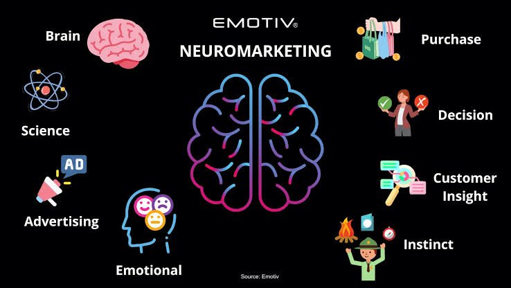 Neuromarketing: How Psychology Shapes Online Buying Decisions